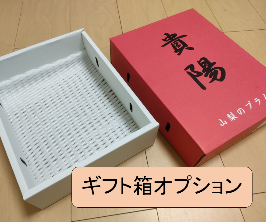すもも【貴陽】