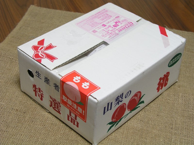 【訳あり】スモモ【貴陽】