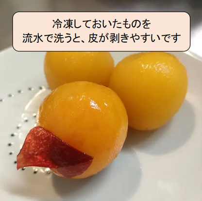 ミニすもも【ハニーローザ】